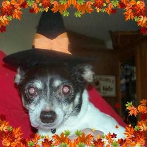 Meet your Posher, Marsha robertson